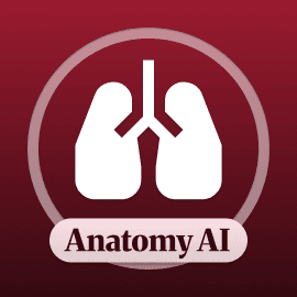 Anatomy AI