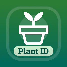 Plant ID