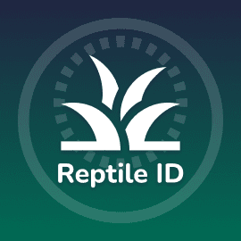 Reptile ID