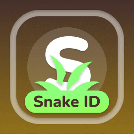 Snake ID